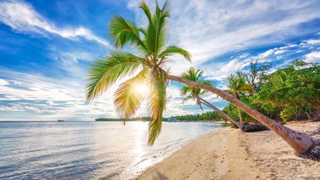 Strand in der Dominikanischen Republik