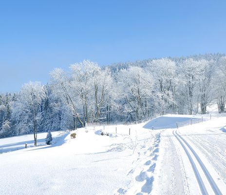 Winterlandschaft im Bayerischen Wald