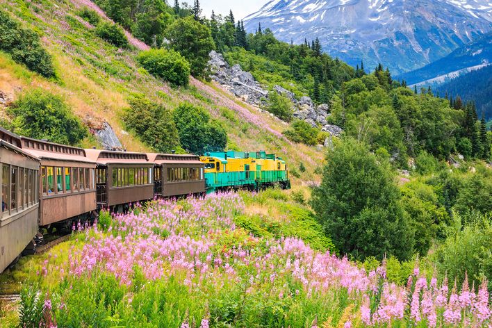 Historische Eisenbahn fährt durch grüne Berglandschaft in Alaska