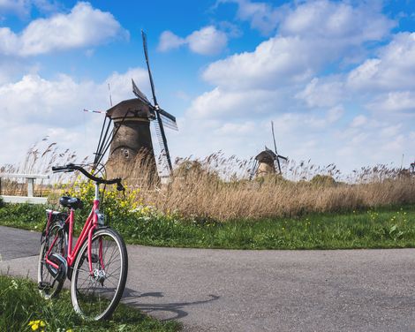 Sail & Bike mit Simmer fan Fryslân ab/an Enkhuizen-0