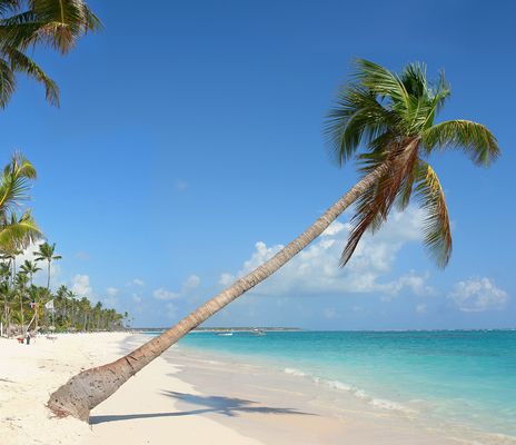 Strand Punta Cana mit Palmen