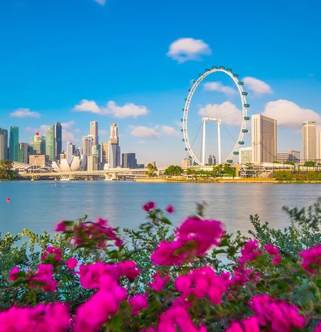 Blick auf Singapur mit Riesenrad und Blumen