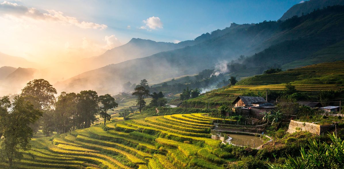 Reisterrassen in Vietnam