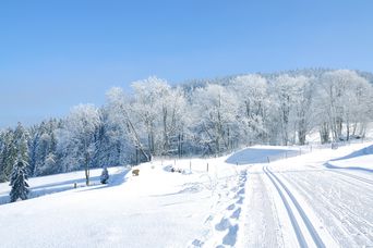 Bayerischer Wald Winterlandschaft