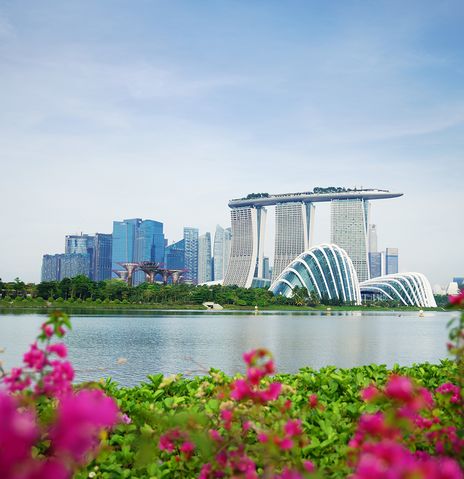 Blumenbeet im Vordergrund mit Blick auf die moderne Skyline von Singapur