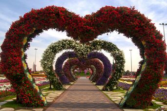 Miracle Garden in Dubai 