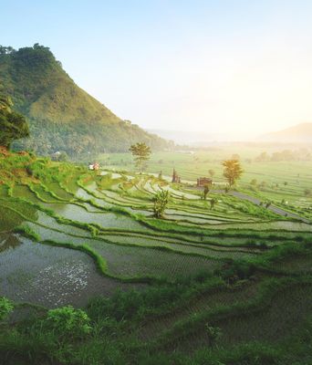 Indonesien - Bali