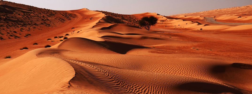 Sanfte Sanddünen der Wüste Rimal Al Wahiba im Oman im warmen Abendlicht