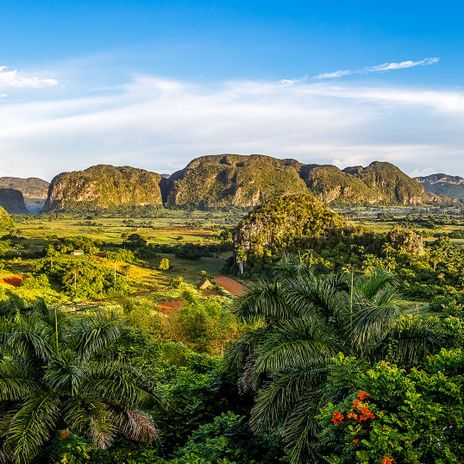 Blick auf Vinales Tal