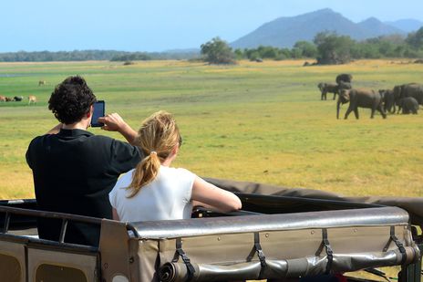Touristen beobachten wilde Elefanten bei einer Jeep-Safari im Minneriya-Nationalpark, Sri Lanka