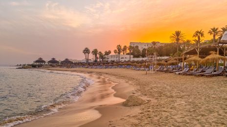 Strand von Hammamet in Tunesien mit Palmen bei Sonnenaufgang