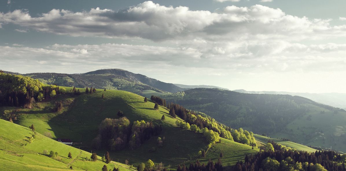 Landschaft im Schwarzwald