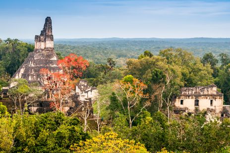 Antike Tikal Pyramiden Landschaft im Dschungel Guatemalas