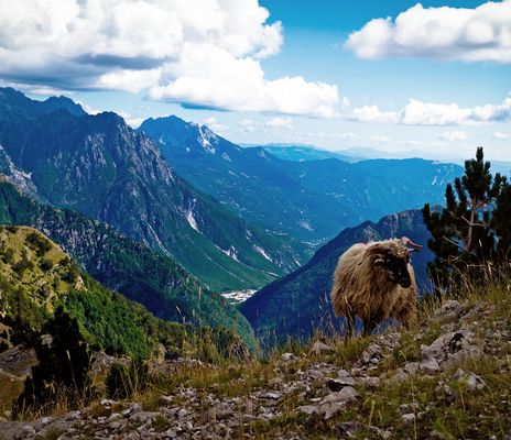 Albanien, Nordmazedonien & Kosovo