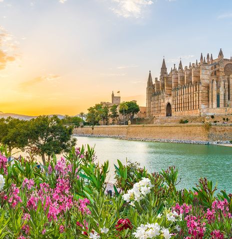 Blick auf die Kathedrale von Palma de Mallorca