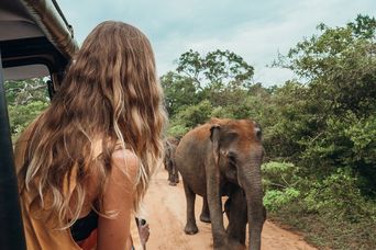 Frau auf Safari die aus dem Fenster schaut und eine Elefantenherde sieht