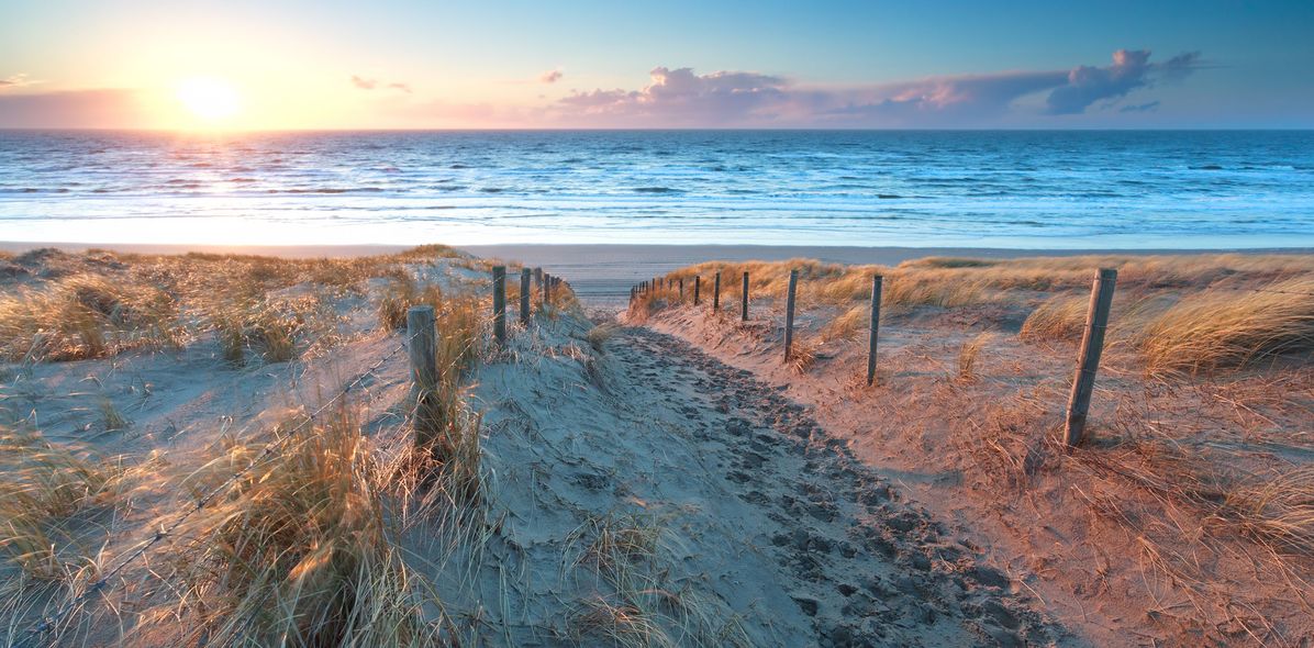 Strand in Zandvoort