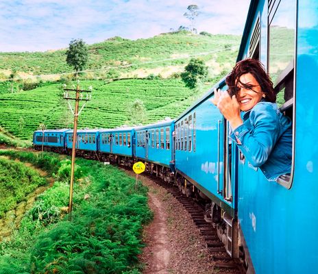 Frau schaut aus dem Zug, der durch die Teeplantagen zwischen Ella und Kandy im Hochland Sri Lankas fährt