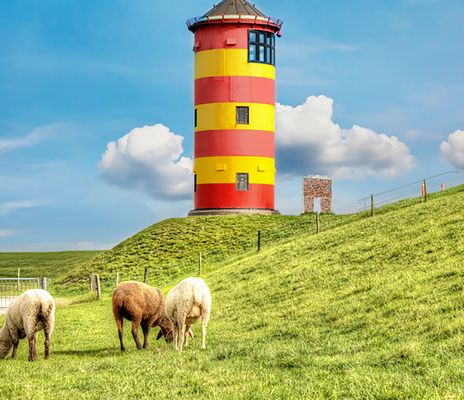 Leuchtturm und Schafe in Pilsum