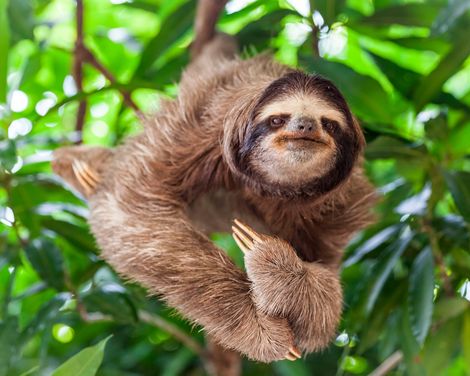 Kreuzfahrt mit der MSC Poesia von Miami bis Seattle