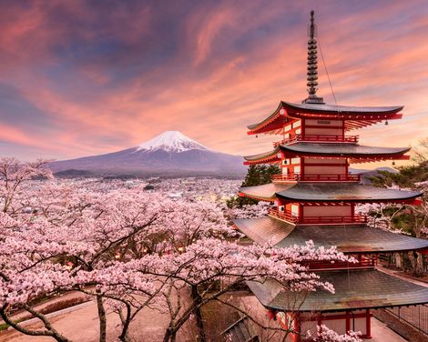 Zen-Gärten, Shinkansen und Fuji-Zauber-0