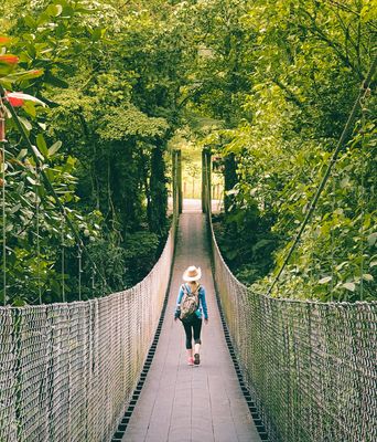 Mensch auf Hängebrücke im Dschungel in Costa Rica
