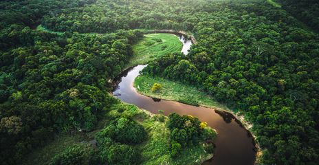 Blick auf den Amazonas-Regenwald mit gewundenem Flusslauf aus der Luft aufgenommen