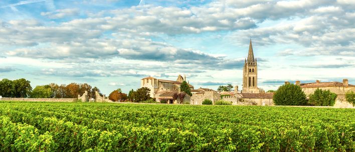 Weinberge bei Bordeaux mit Blick auf Landschaft und historische Stadt im Hintergrund