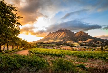 Blick von Stellenbosch auf den Tafelberg von Kapstadt