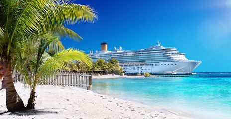 Vom Strand mit Palmen aus fotografiertes Kreuzfahrtschiff am Hafen liegend