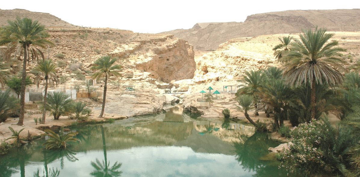 Wadi mit Palmen im Oman