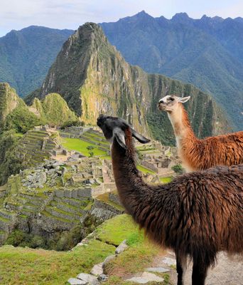 Peru, Bolivien, Chile, Argentinien & Brasilien