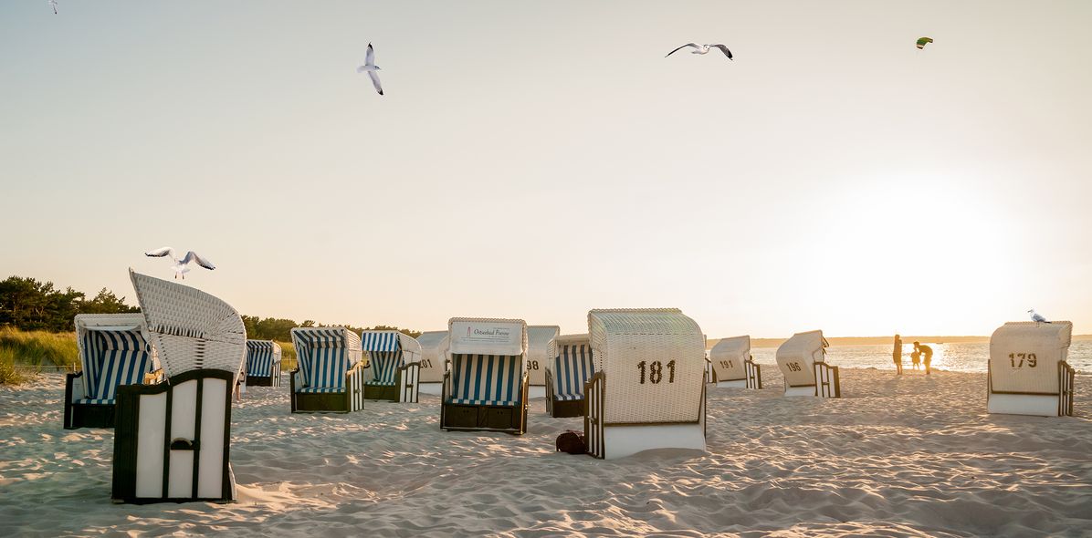 Strandkörbe am Strand an der Ostsee