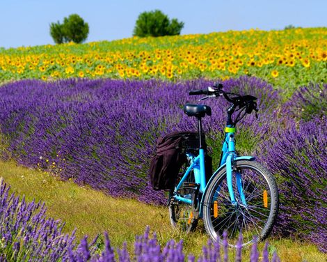 Auf den Spuren der Römer radeln-0