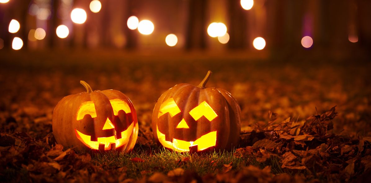 Zwei leuchtende Kürbisse auf Laub in einem Wald voller Lichter bei Dunkelheit