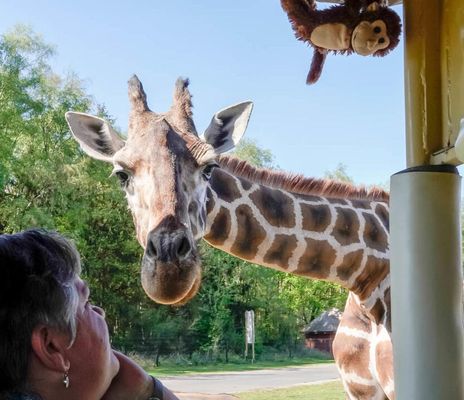 Lüneburger Heide - Hodenhagen