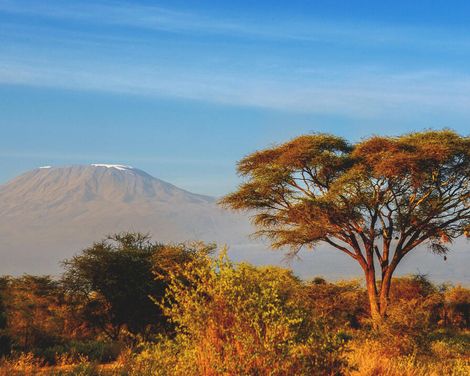 Auf Safari zu den Big Five & Entspannung am Palmenstrand-3
