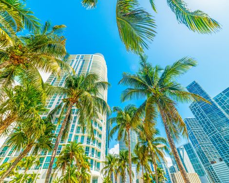 Kreuzfahrt mit MSC World America ab/an Miami inkl. Florida-Rundreise-3