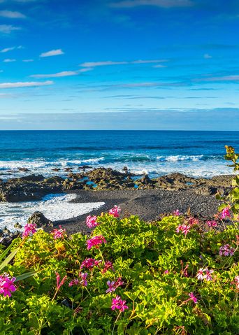 Strand in Teneriffa