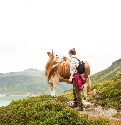 Frau und Kuh beim Wandern