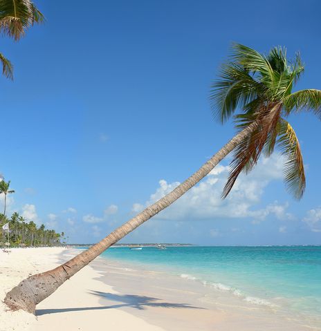 Strand Punta Cana mit Palmen