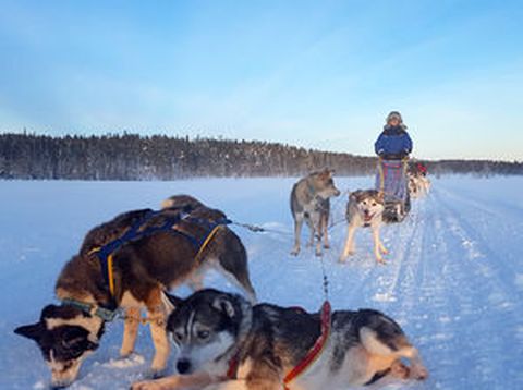 Chronistin Petra in Finnland