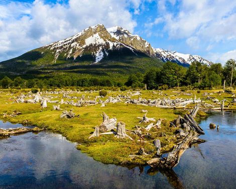 Expeditionsabenteuer ans Ende der Welt-0