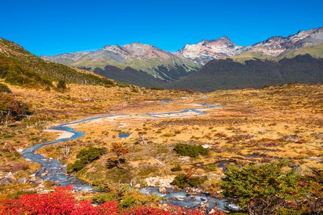 Herbstlandschaft im Nationalpark Tierra del Fuego nahe Ushuaia in Südargentinien
