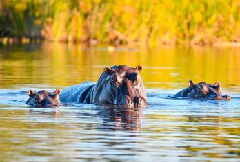 Namibia, Botswana & Simbabwe