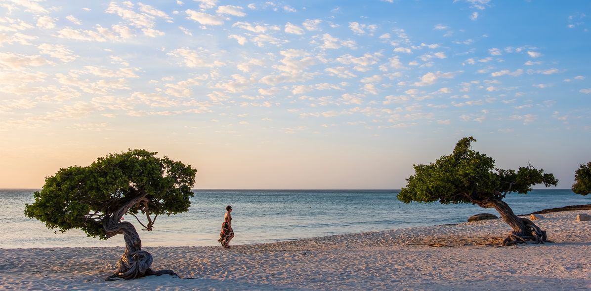 Strand von Aruba