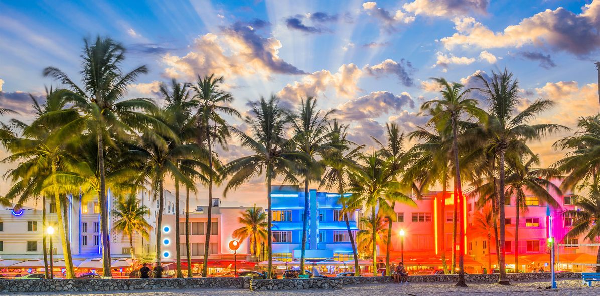 Palmen und Häuser in Miami Beach