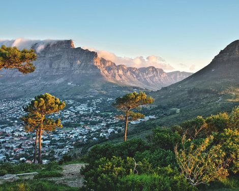 Naturwunder, Safaris & Kapstadtflair-1