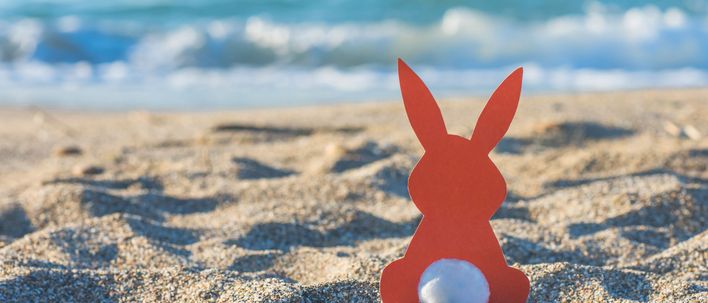 Hase am Strand