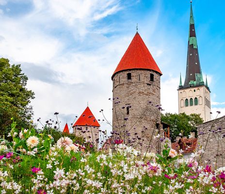 Die rustikalen Bauten in Tallinn